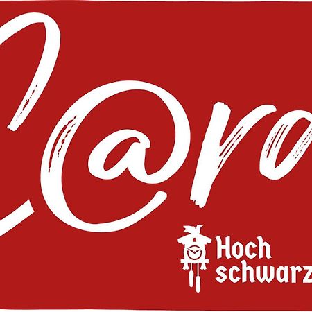 Apartament Urseetalblick Lenzkirch Zewnętrze zdjęcie
