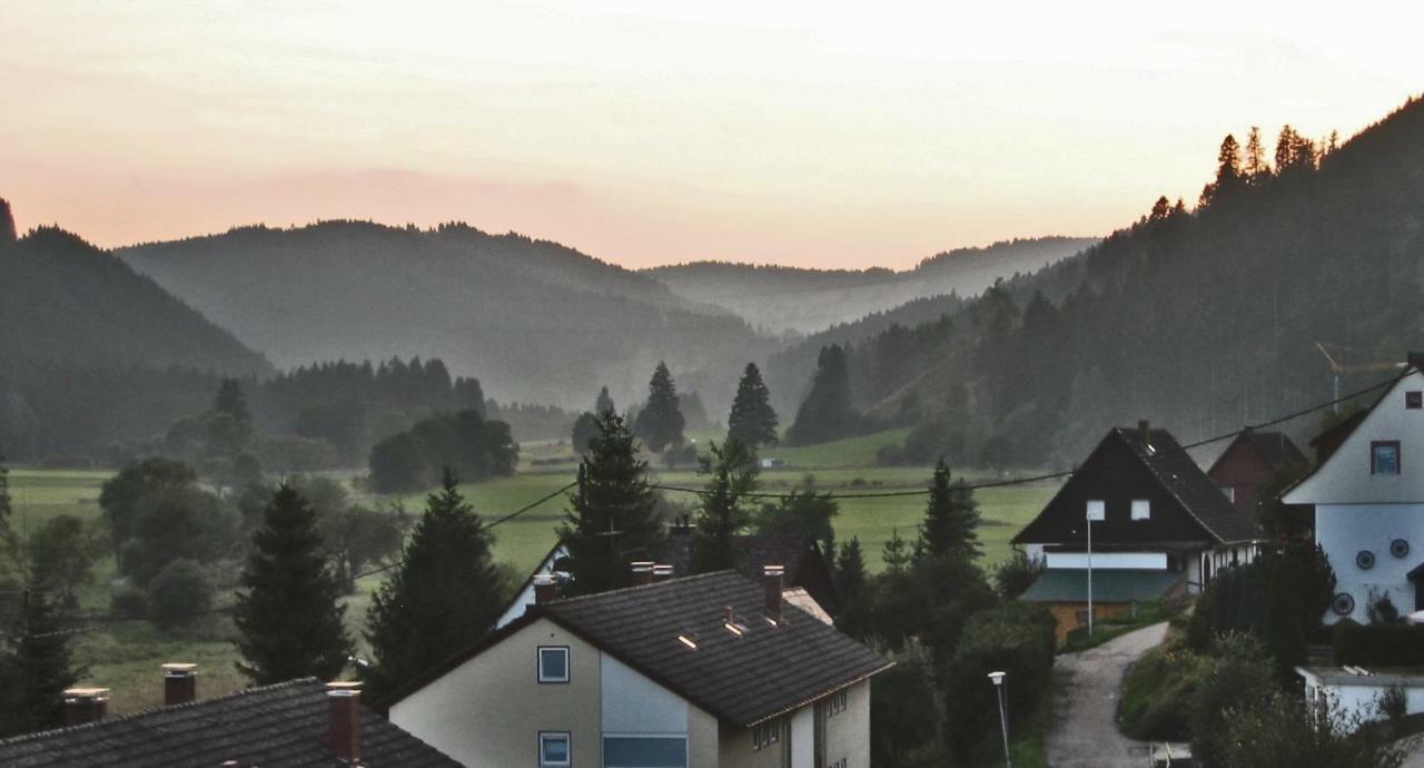 Apartament Urseetalblick Lenzkirch Zewnętrze zdjęcie